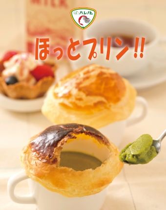 （る）ハレノヒ メディア紹介情報