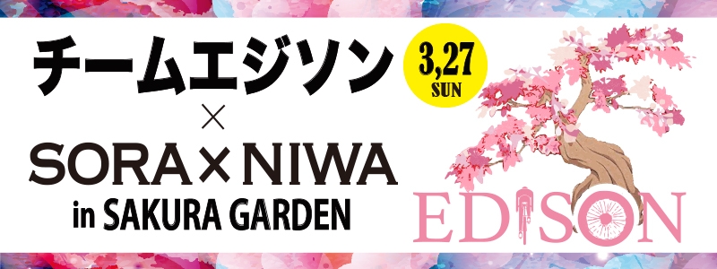チームエジソン 3月27日開催!